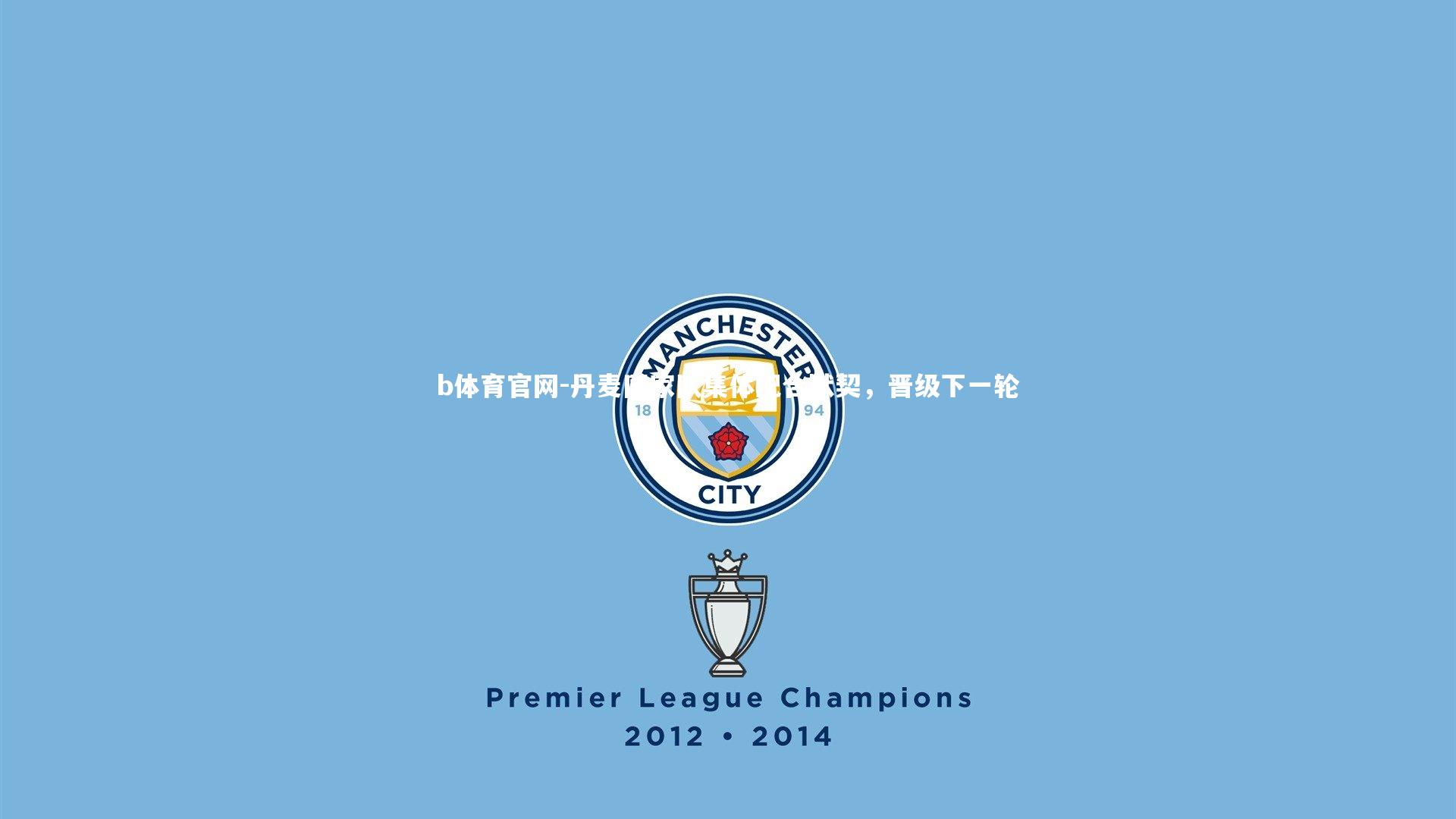 丹麦国家队集体配合默契，晋级下一轮