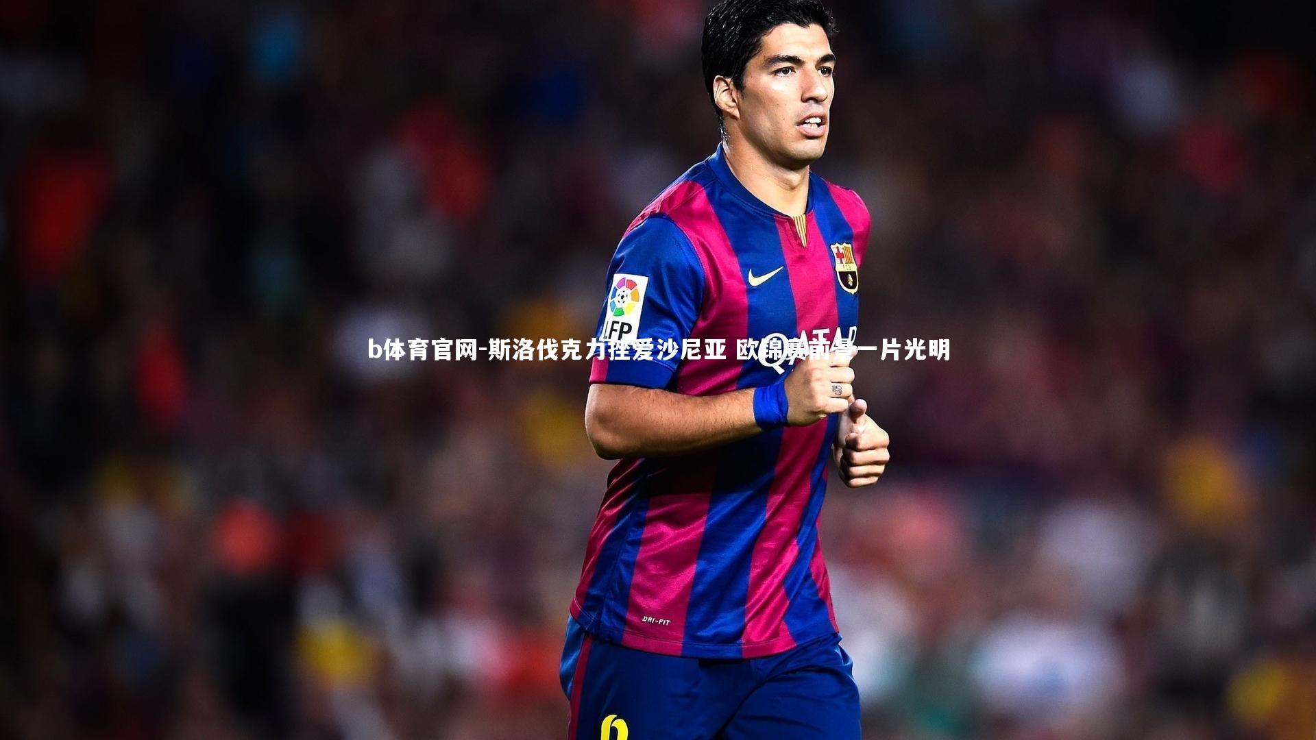 斯洛伐克力挫爱沙尼亚 欧锦赛前景一片光明