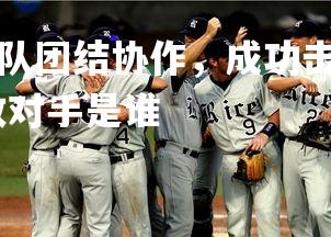 b体育官网-绿草战队团结协作，成功击败对手，绿草战队团结协作,成功击败对手是谁