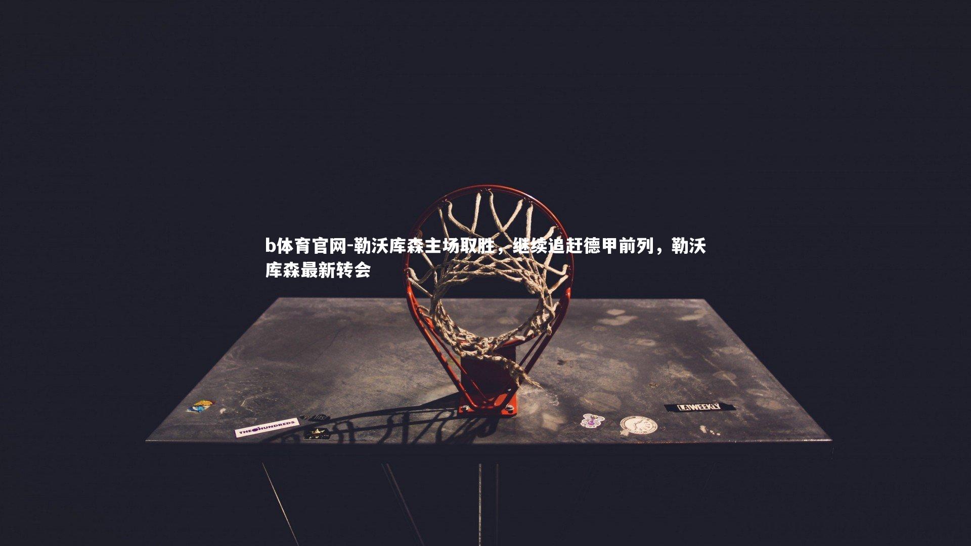 b体育官网-勒沃库森主场取胜，继续追赶德甲前列，勒沃库森最新转会