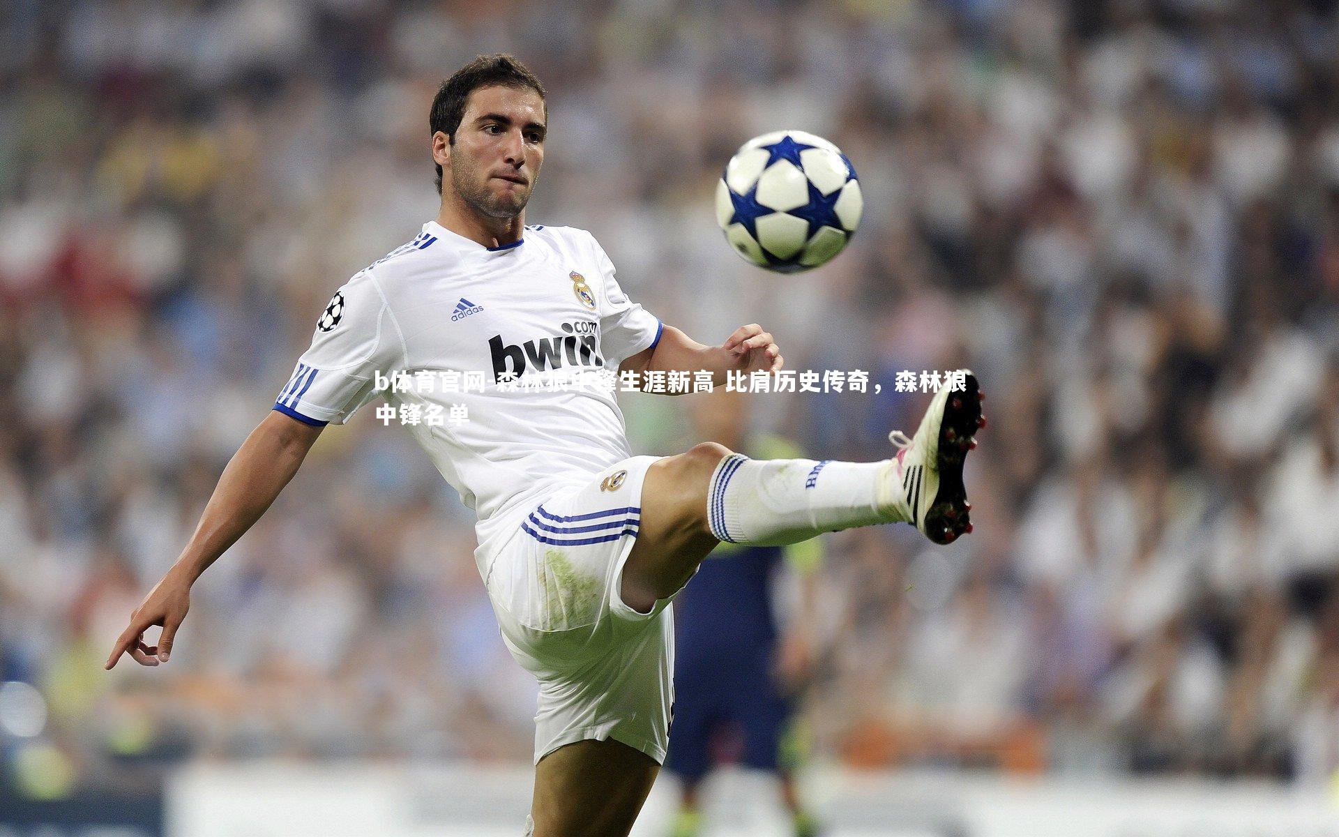 b体育官网-森林狼中锋生涯新高 比肩历史传奇，森林狼中锋名单