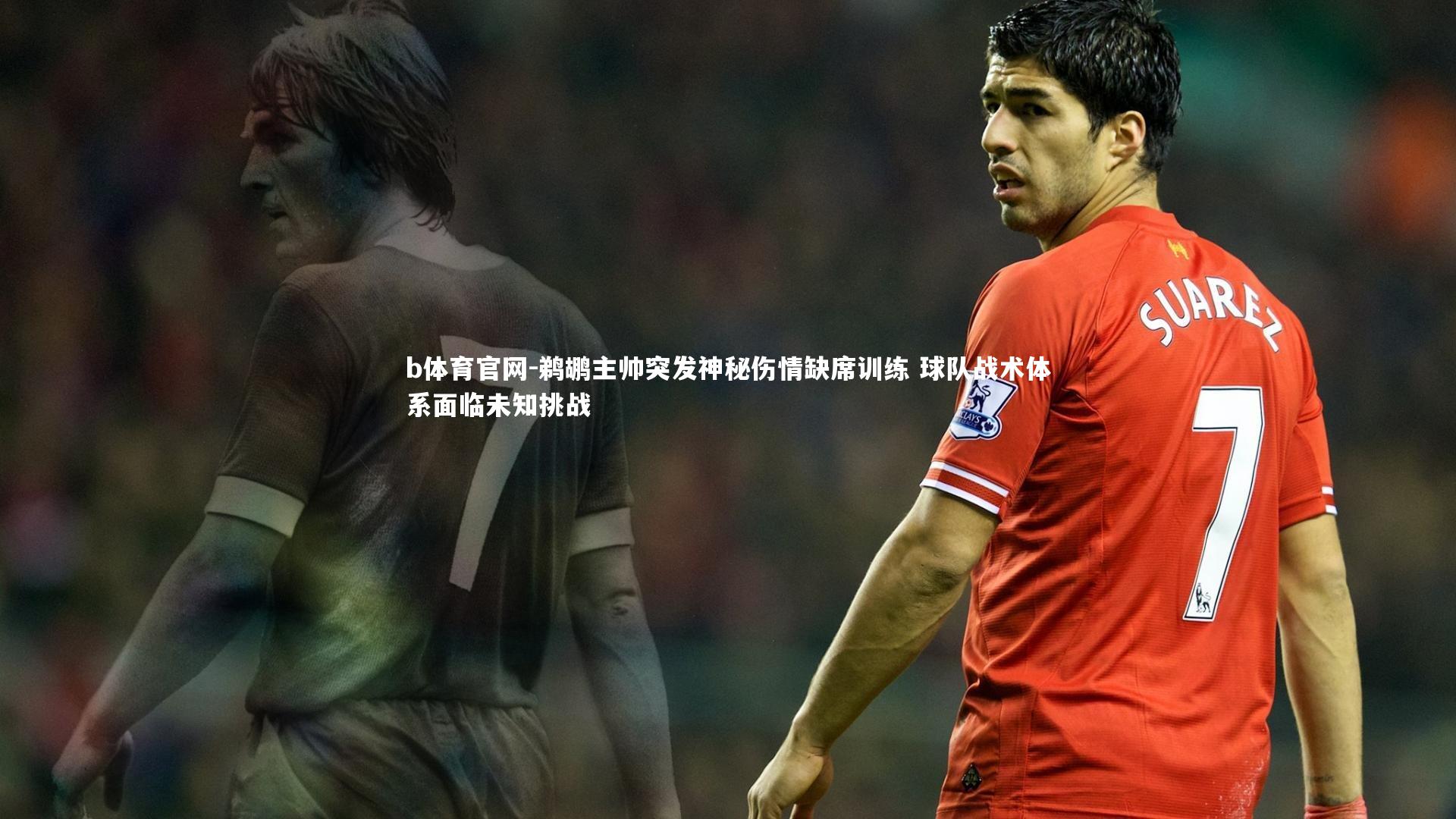 鹈鹕主帅突发神秘伤情缺席训练 球队战术体系面临未知挑战